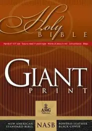 Giant Print Handy Size Bible