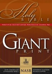 Giant Print Handy Size Bible