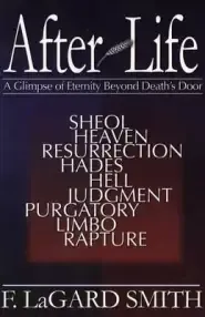 After Life: A Glimpse of Eternity Beyond Death's Door