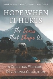 Hope When it Hurts: The Scars that Shape Us: A Christian Writers' Collection (LARGE PRINT EDITION)