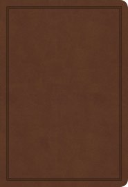 KJV Deluxe Gift Bible, Brown LeatherTouch