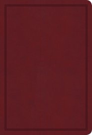 KJV Deluxe Gift Bible, Burgundy LeatherTouch