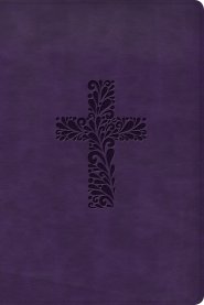 KJV Rainbow Study Bible, Purple LeatherTouch