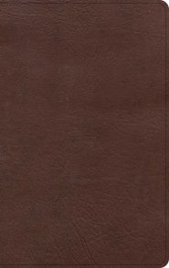 KJV Single-Column Personal Size Bible, Brown LeatherTouch