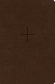 CSB Every Day with Jesus Daily Bible, Brown, Imitation Leather, Devotions, Journalling, Maps