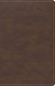 CSB Single-Column Compact Bible, Brown LeatherTouch