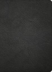 CSB Study Bible, Holman Handcrafted Collection, Black Premium Goatskin