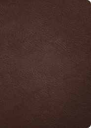 CSB Verse-by-Verse Reference Bible, Holman Handcrafted Collection, Brown Premium Goatskin