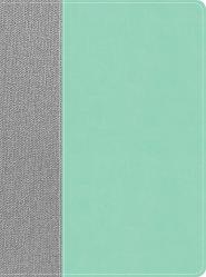 CSB Lifeway Women's Bible, Gray/Mint LeatherTouch