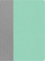 CSB Lifeway Women's Bible, Gray/Mint LeatherTouch, Indexed