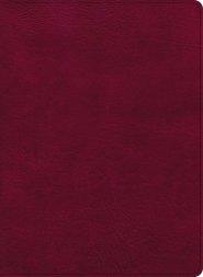 CSB Holy Land Illustrated Bible, Burgundy LeatherTouch, Indexed