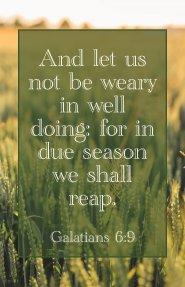 We Shall Reap Bulletin (Pkg 100) General Worship