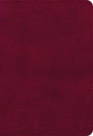 NASB Large Print Compact Reference Bible, Burgundy LeatherTouch