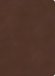 KJV Single-Column Wide-Margin Bible, Brown LeatherTouch