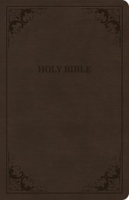 CSB Thinline Bible, Brown LeatherTouch, Value Edition