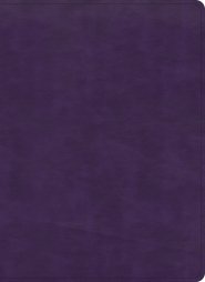 KJV Study Bible, Full-Color, Plum LeatherTouch, Indexed