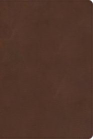 CSB Rainbow Study Bible, Brown LeatherTouch