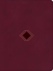 CSB Day-by-Day Chronological Bible, Burgundy LeatherTouch