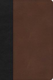 CSB Large Print Thinline Bible, Black/Brown LeatherTouch