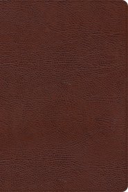 CSB Large Print Thinline Bible, Brown Bonded Leather