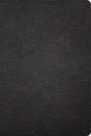 CSB Large Print Thinline Bible, Holman Handcrafted Collection, Black Premium Goatskin