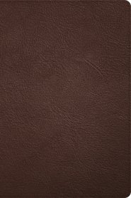 CSB Large Print Thinline Bible, Holman Handcrafted Collection, Brown Premium Goatskin