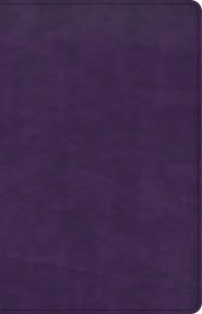 CSB Large Print Personal Size Reference Bible, Purple LeatherTouch