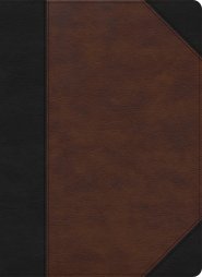 CSB Verse-by-Verse Reference Bible, Black/Brown LeatherTouch