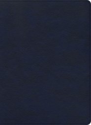 CSB Verse-by-Verse Reference Bible, Navy LeatherTouch