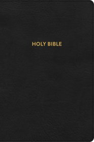 KJV Rainbow Study Bible, Black LeatherTouch, Indexed