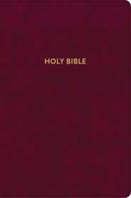 KJV Rainbow Study Bible, Burgundy LeatherTouch