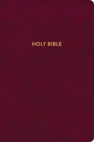 KJV Rainbow Study Bible, Burgundy LeatherTouch