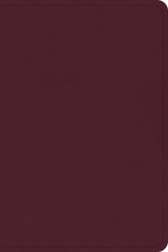 CSB Large Print Compact Reference Bible, Cranberry Leathertouch