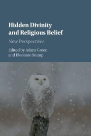 Hidden Divinity And Religious Belief