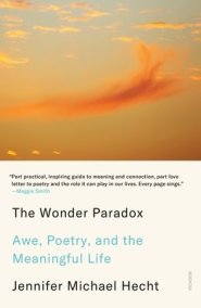 The Wonder Paradox: Awe, Poetry, and the Meaningful Life