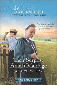 Their Surprise Amish Marriage