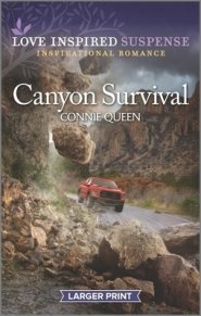 Canyon Survival