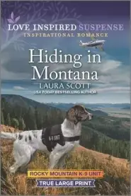 Hiding in Montana