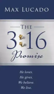 The 3:16 Promise