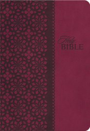 Kjv Study Bible 2nd Ed Lthlk Maroon