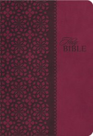 Study Bible-KJV