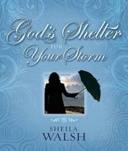 God's Shelter for Your Storm