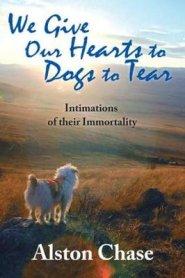 We Give Our Hearts to Dogs to Tear : Intimations of Their Immortality