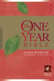 NLT One Year Large Print Bible: Paperback