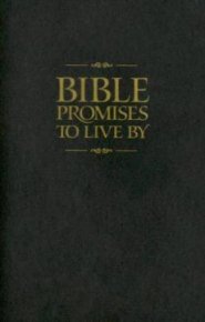 Bible Promises To Live By