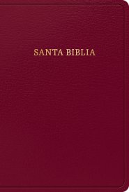 RVR 1960 Biblia letra grande tamaño manual, borgoña imitación piel con índice (Edición 2023)