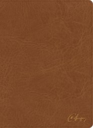 KJV Spurgeon Study Bible, Tan LeatherTouch