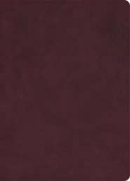 CSB Verse-by-Verse Reference Bible, Holman Handcrafted Collection, Marbled Burgundy Premium Calfskin