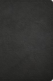 KJV Personal Size Giant Print Bible, Black Genuine Leather, Indexed