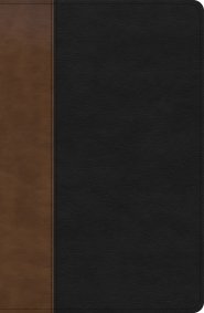 KJV Personal Size Giant Print Bible, Black/Brown LeatherTouch, Indexed